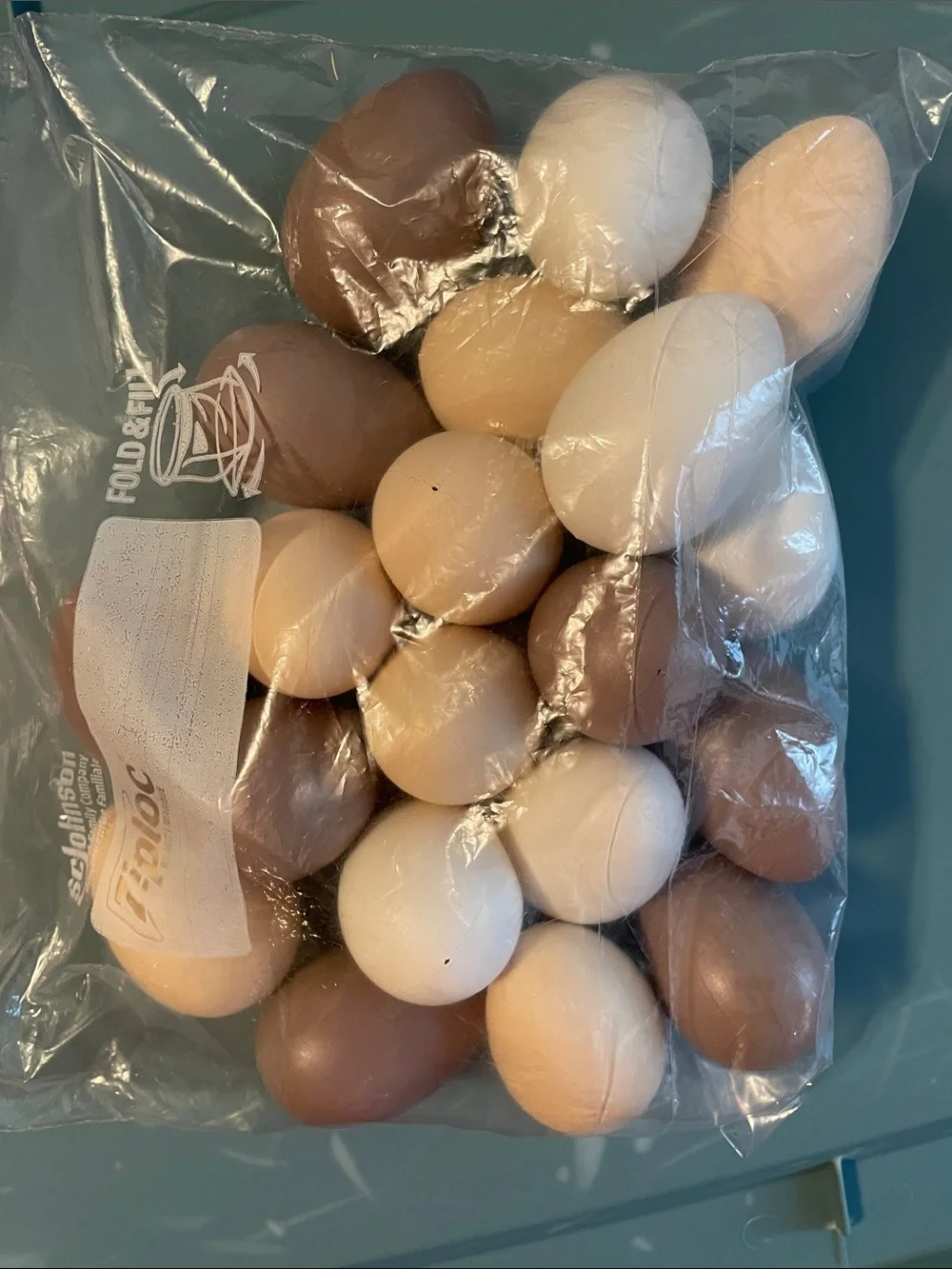 Assorted Natural Tone Decorative Eggs - Multi-Pack Plastic Arts & Crafts 20ct